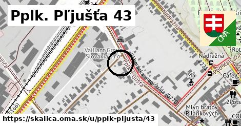 Pplk. Pľjušťa 43, Skalica