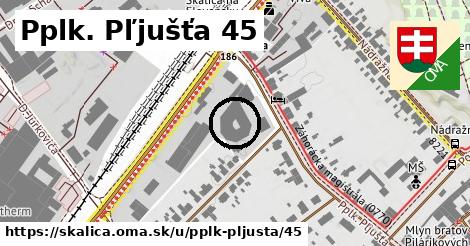 Pplk. Pľjušťa 45, Skalica