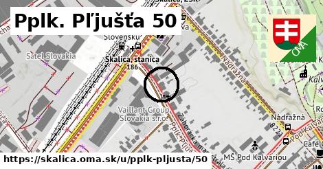 Pplk. Pľjušťa 50, Skalica