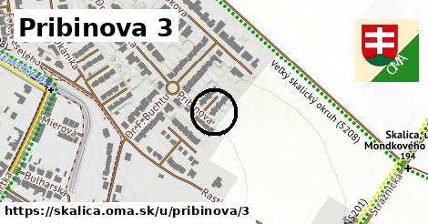 Pribinova 3, Skalica