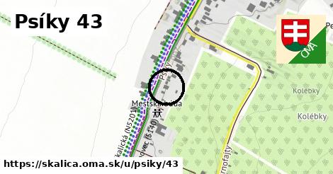 Psíky 43, Skalica