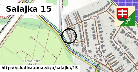 Salajka 15, Skalica