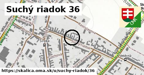 Suchý riadok 36, Skalica