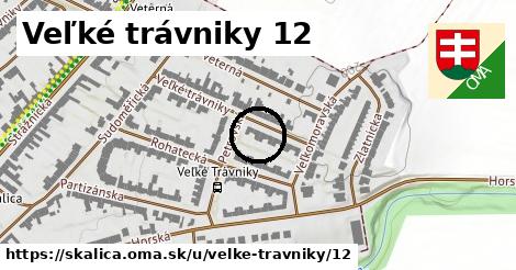 Veľké trávniky 12, Skalica