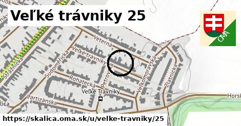 Veľké trávniky 25, Skalica