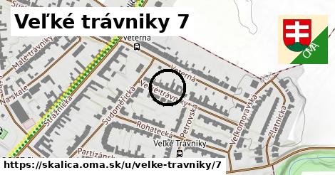 Veľké trávniky 7, Skalica