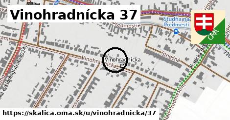 Vinohradnícka 37, Skalica