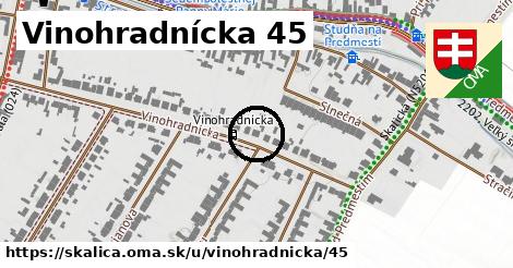 Vinohradnícka 45, Skalica