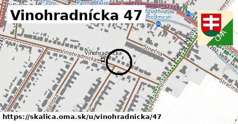 Vinohradnícka 47, Skalica