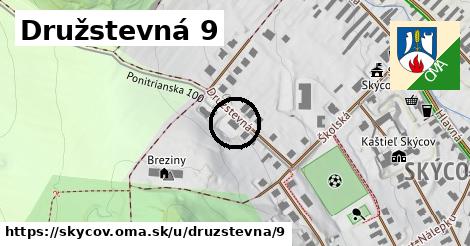 Družstevná 9, Skýcov