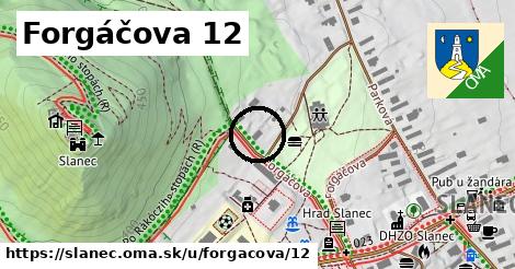Forgáčova 12, Slanec