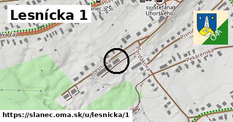 Lesnícka 1, Slanec