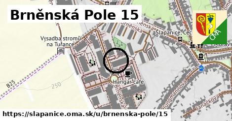 Brněnská Pole 15, Šlapanice