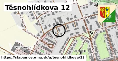 Těsnohlídkova 12, Šlapanice