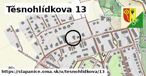 Těsnohlídkova 13, Šlapanice