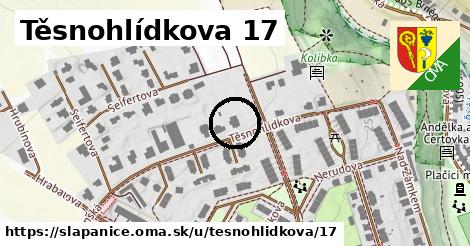 Těsnohlídkova 17, Šlapanice