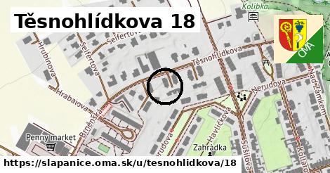 Těsnohlídkova 18, Šlapanice