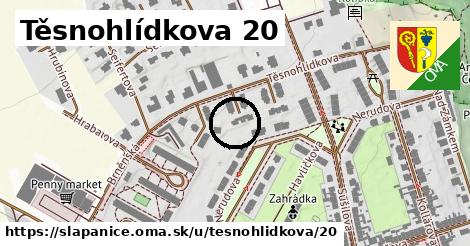 Těsnohlídkova 20, Šlapanice