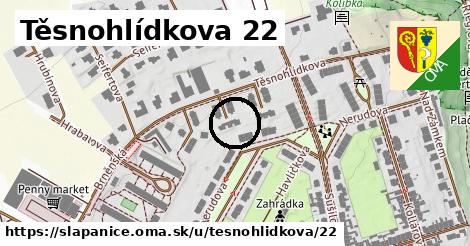 Těsnohlídkova 22, Šlapanice