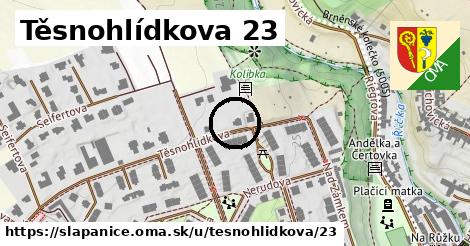 Těsnohlídkova 23, Šlapanice