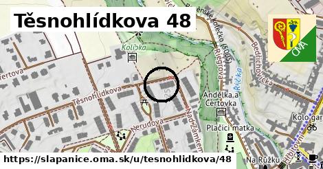 Těsnohlídkova 48, Šlapanice