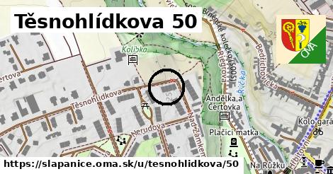 Těsnohlídkova 50, Šlapanice