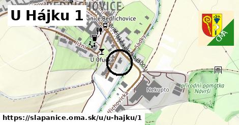 U Hájku 1, Šlapanice