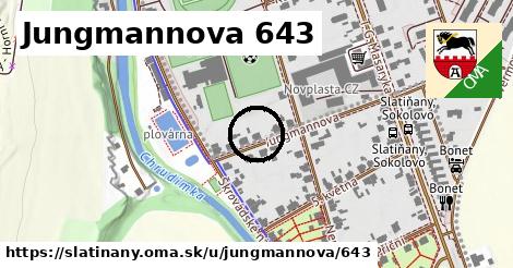 Jungmannova 643, Slatiňany