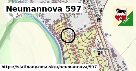 Neumannova 597, Slatiňany