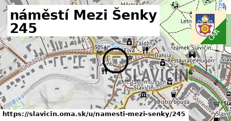 náměstí Mezi Šenky 245, Slavičín