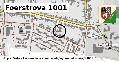 Foerstrova 1001, Slavkov u Brna