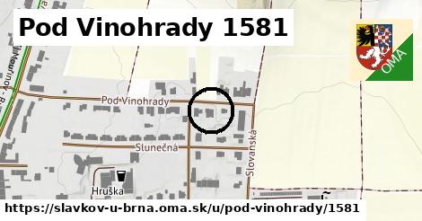 Pod Vinohrady 1581, Slavkov u Brna