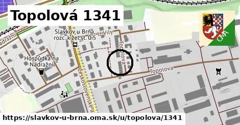 Topolová 1341, Slavkov u Brna