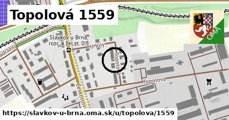 Topolová 1559, Slavkov u Brna