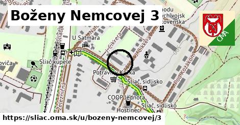 Boženy Nemcovej 3, Sliač