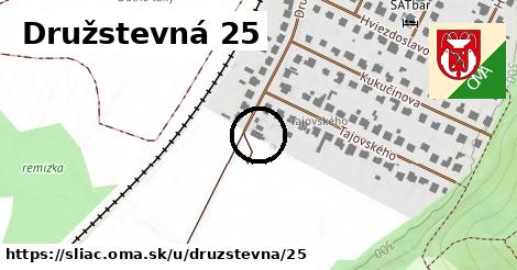 Družstevná 25, Sliač