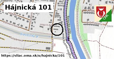 Hájnická 101, Sliač