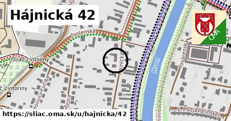 Hájnická 42, Sliač