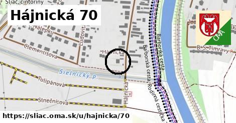 Hájnická 70, Sliač