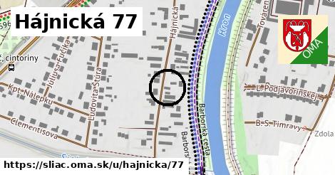 Hájnická 77, Sliač