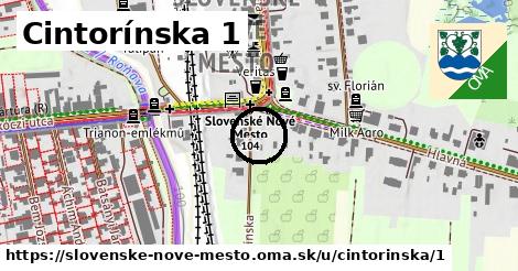 Cintorínska 1, Slovenské Nové Mesto