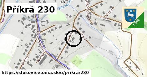 Příkrá 230, Slušovice