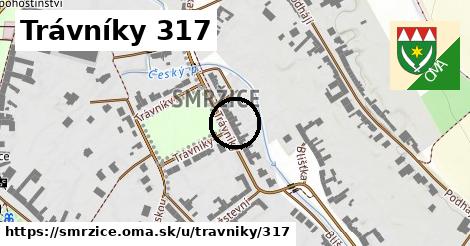 Trávníky 317, Smržice