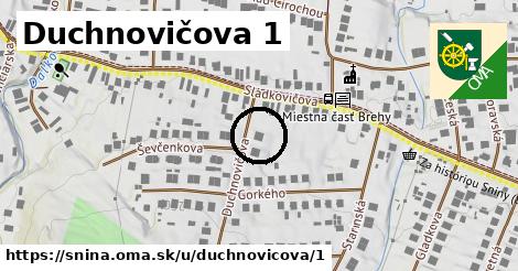 Duchnovičova 1, Snina