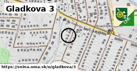 Gladkova 3, Snina