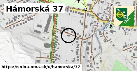 Hámorská 37, Snina