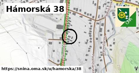 Hámorská 38, Snina