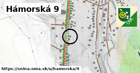 Hámorská 9, Snina