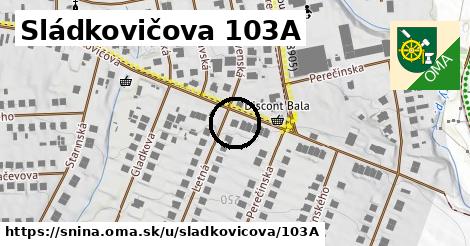 Sládkovičova 103A, Snina
