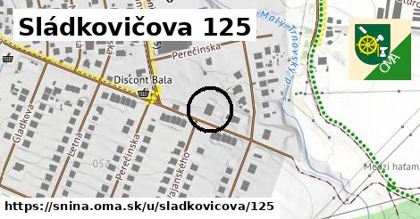 Sládkovičova 125, Snina